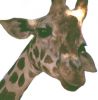 Levine-Giraffe.jpg